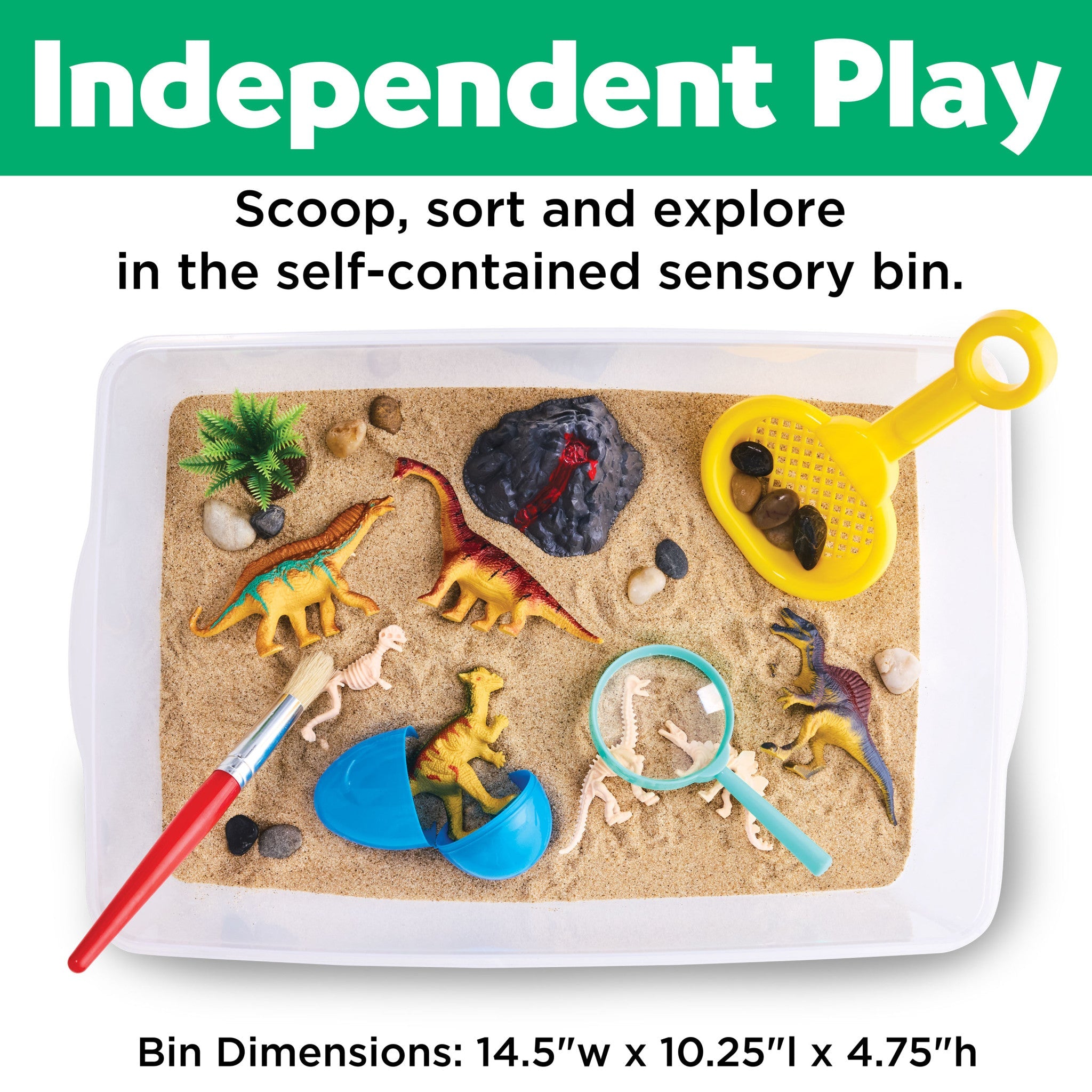 Sensory Bin Dinosaur Dig