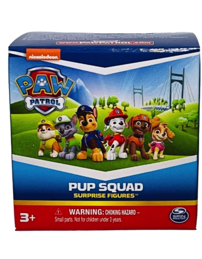 Paw Patrol Pup Squad Figure Asst