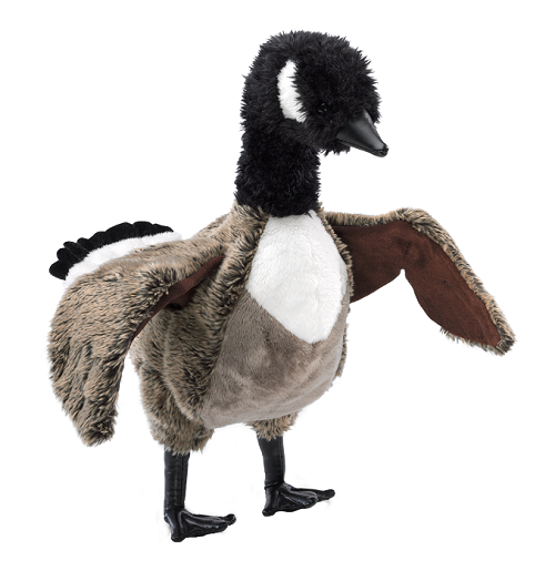 Canada Goose Puppet / bernache du canada