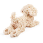 White Poodle Puppy